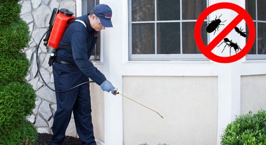 Yunak Bit İlaçlama böcek ilaçlama ve haşere kontrolü — ilaclama-tr.com